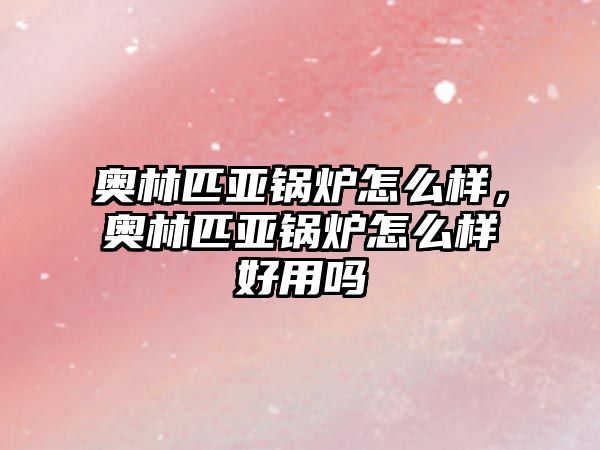 奧林匹亞鍋爐怎么樣，奧林匹亞鍋爐怎么樣好用嗎