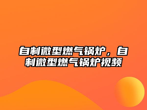 自制微型燃?xì)忮仩t，自制微型燃?xì)忮仩t視頻