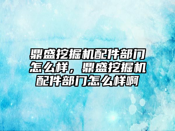 鼎盛挖掘機配件部門怎么樣，鼎盛挖掘機配件部門怎么樣啊