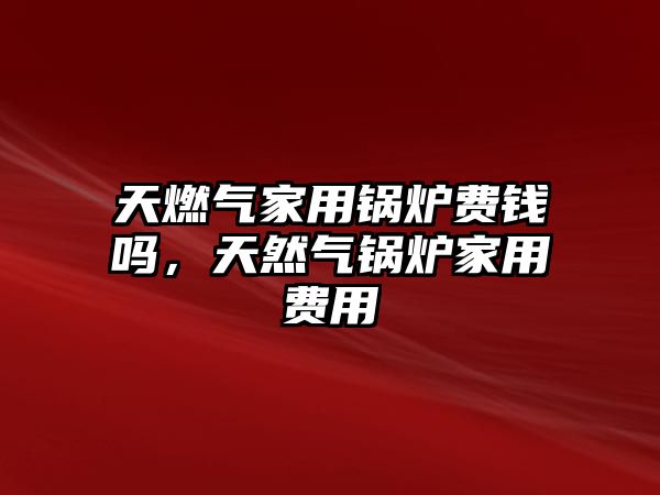 天燃?xì)饧矣缅仩t費(fèi)錢嗎，天然氣鍋爐家用費(fèi)用