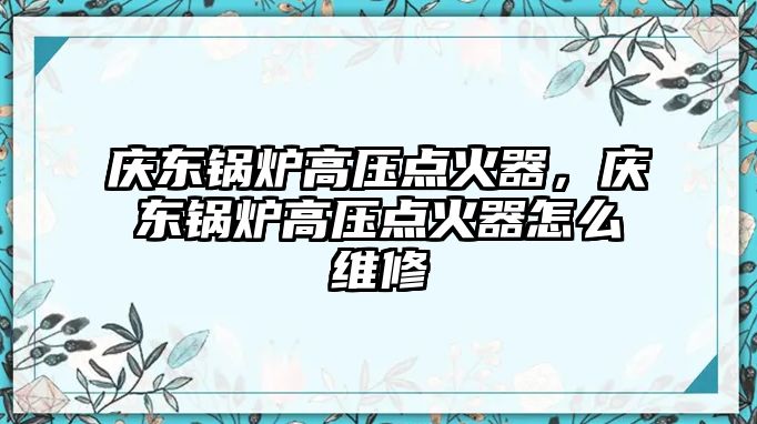 慶東鍋爐高壓點火器，慶東鍋爐高壓點火器怎么維修