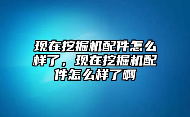 現(xiàn)在挖掘機(jī)配件怎么樣了，現(xiàn)在挖掘機(jī)配件怎么樣了啊