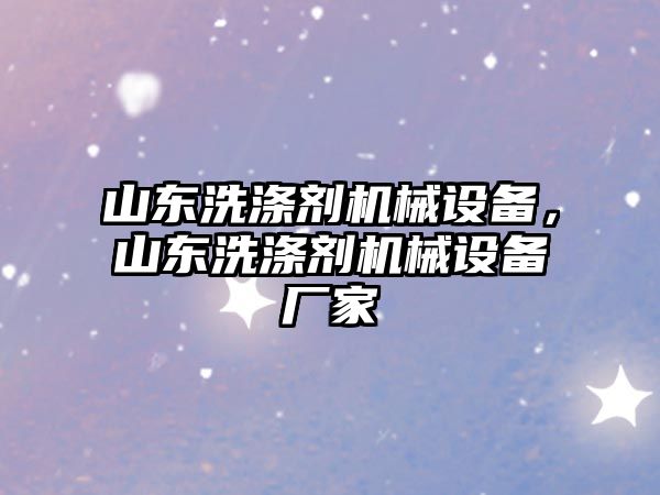 山東洗滌劑機(jī)械設(shè)備，山東洗滌劑機(jī)械設(shè)備廠家