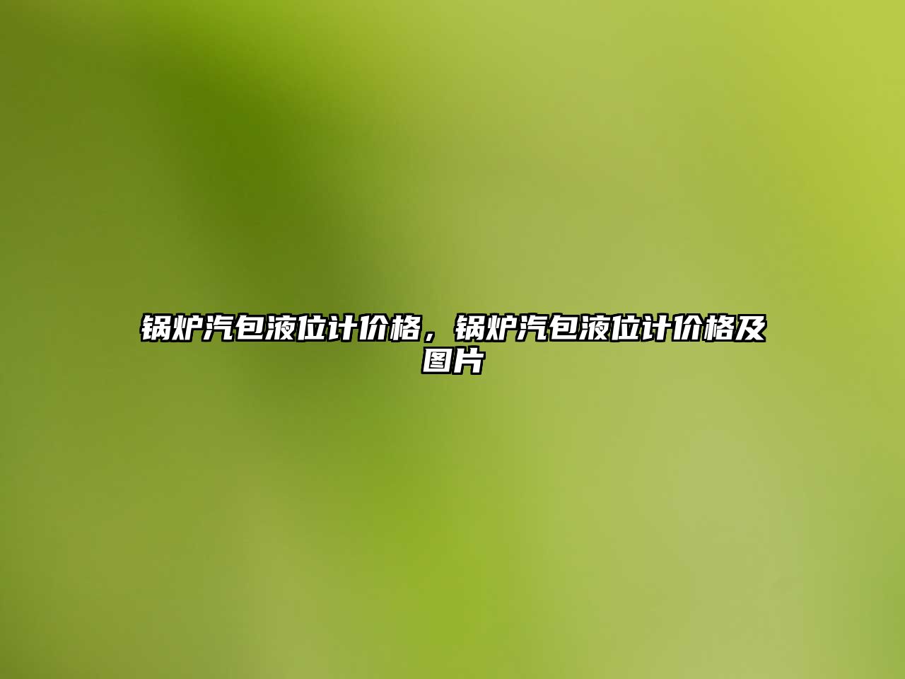 鍋爐汽包液位計價格，鍋爐汽包液位計價格及圖片