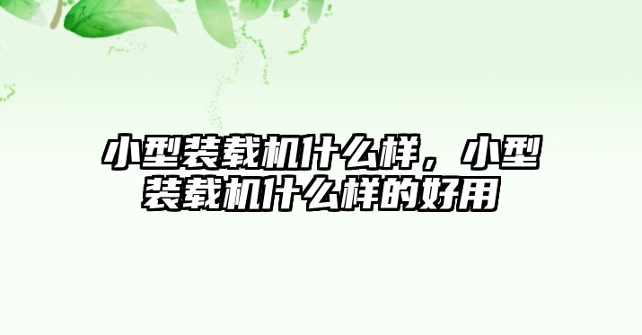 小型裝載機(jī)什么樣，小型裝載機(jī)什么樣的好用