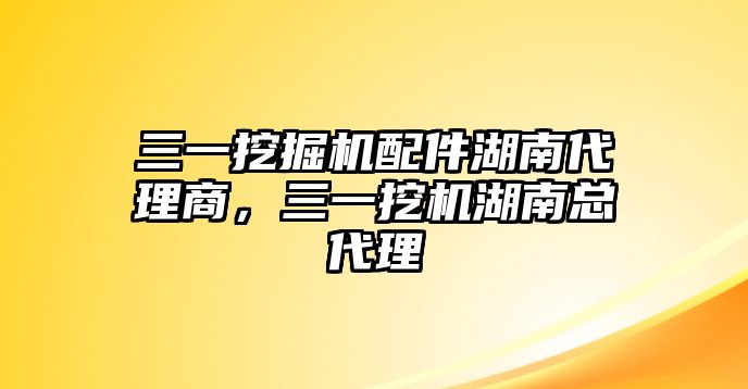 三一挖掘機(jī)配件湖南代理商，三一挖機(jī)湖南總代理