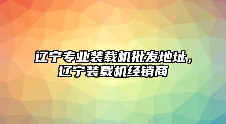 遼寧專業(yè)裝載機批發(fā)地址，遼寧裝載機經(jīng)銷商