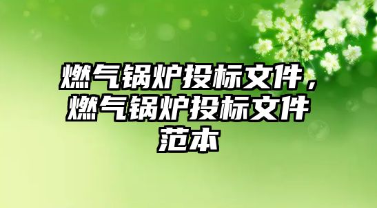 燃?xì)忮仩t投標(biāo)文件，燃?xì)忮仩t投標(biāo)文件范本