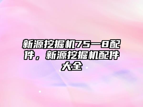 新源挖掘機(jī)75一8配件，新源挖掘機(jī)配件大全