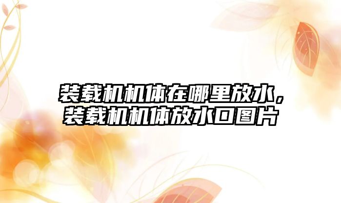 裝載機機體在哪里放水，裝載機機體放水口圖片