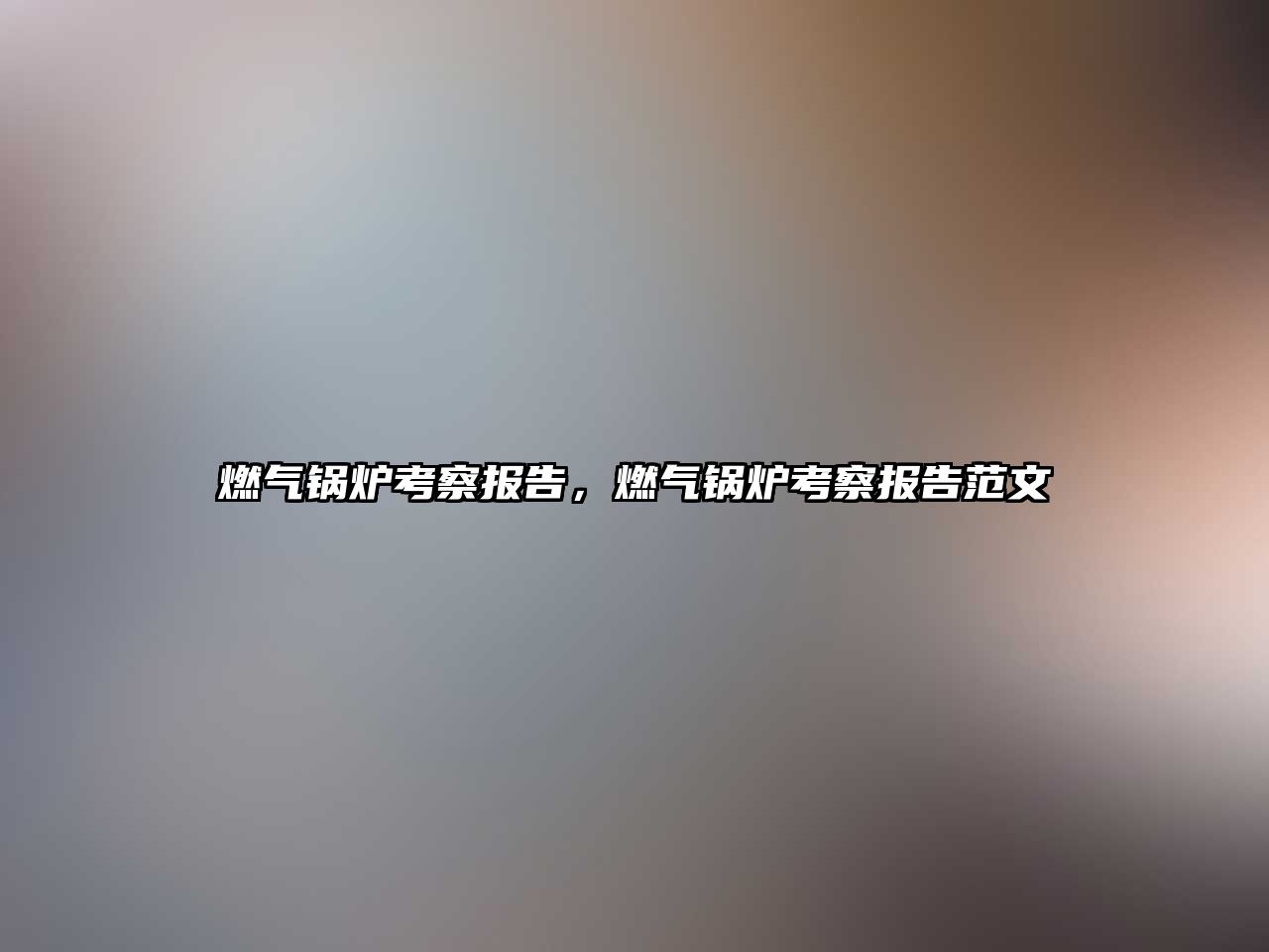 燃?xì)忮仩t考察報(bào)告，燃?xì)忮仩t考察報(bào)告范文