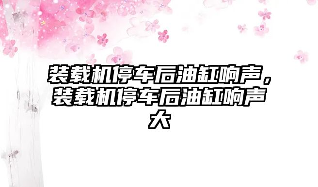 裝載機停車后油缸響聲，裝載機停車后油缸響聲大