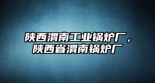 陜西渭南工業(yè)鍋爐廠，陜西省渭南鍋爐廠