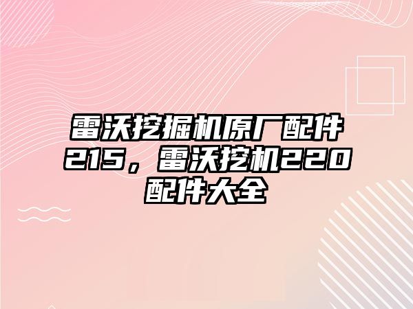 雷沃挖掘機(jī)原廠配件215，雷沃挖機(jī)220配件大全