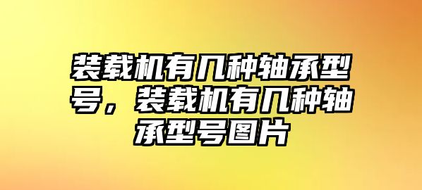 裝載機(jī)有幾種軸承型號(hào)，裝載機(jī)有幾種軸承型號(hào)圖片