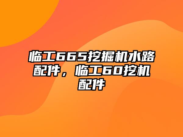 臨工665挖掘機水路配件，臨工60挖機配件