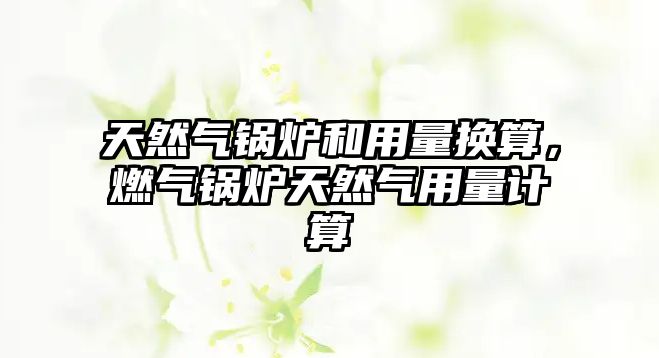 天然氣鍋爐和用量換算，燃?xì)忮仩t天然氣用量計算