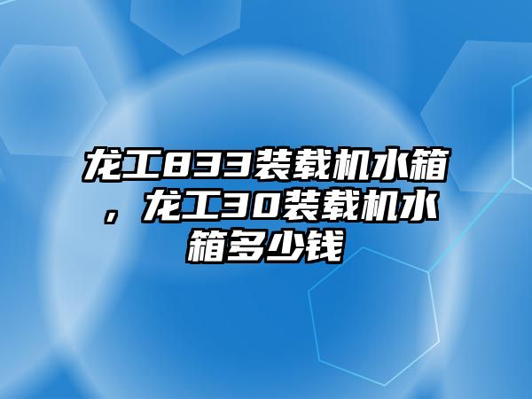 龍工833裝載機(jī)水箱，龍工30裝載機(jī)水箱多少錢