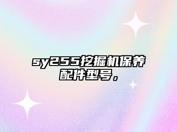 sy255挖掘機保養(yǎng)配件型號，