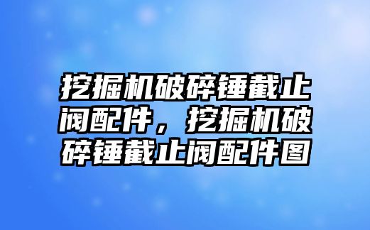 挖掘機(jī)破碎錘截止閥配件，挖掘機(jī)破碎錘截止閥配件圖