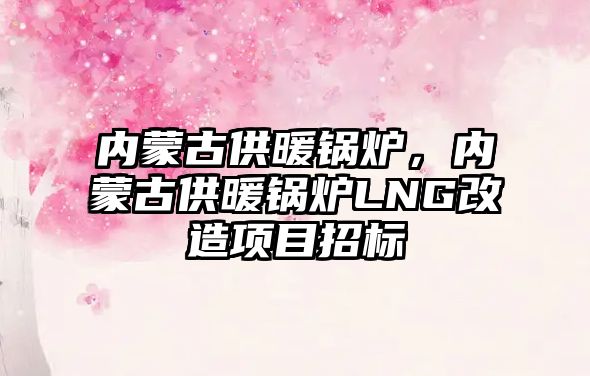 內蒙古供暖鍋爐，內蒙古供暖鍋爐LNG改造項目招標