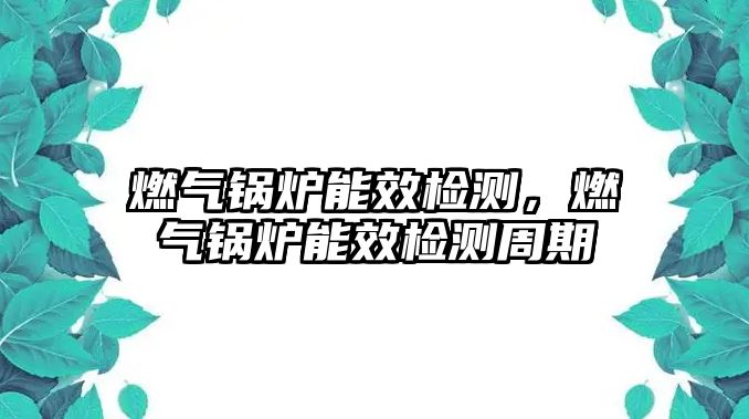 燃?xì)忮仩t能效檢測(cè)，燃?xì)忮仩t能效檢測(cè)周期