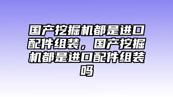 國產(chǎn)挖掘機都是進口配件組裝，國產(chǎn)挖掘機都是進口配件組裝嗎