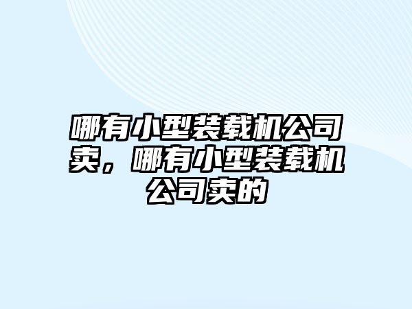 哪有小型裝載機公司賣，哪有小型裝載機公司賣的