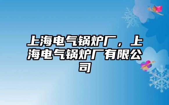 上海電氣鍋爐廠，上海電氣鍋爐廠有限公司