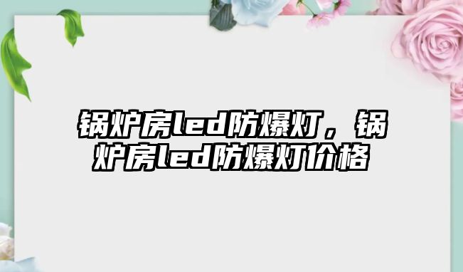 鍋爐房led防爆燈，鍋爐房led防爆燈價格