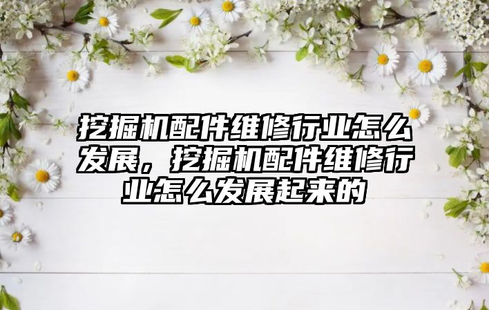 挖掘機配件維修行業(yè)怎么發(fā)展，挖掘機配件維修行業(yè)怎么發(fā)展起來的