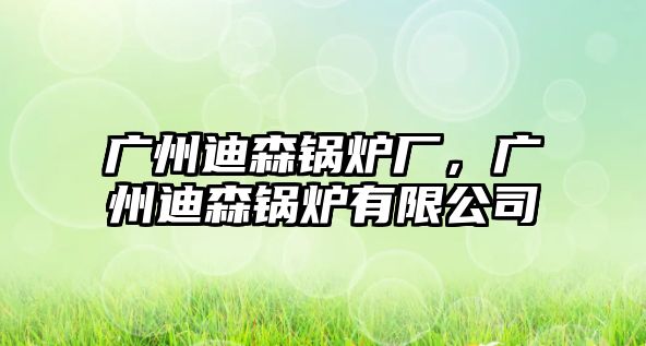 廣州迪森鍋爐廠，廣州迪森鍋爐有限公司