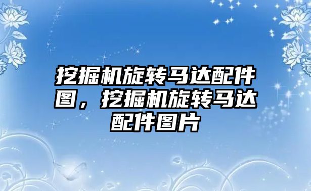 挖掘機旋轉馬達配件圖，挖掘機旋轉馬達配件圖片