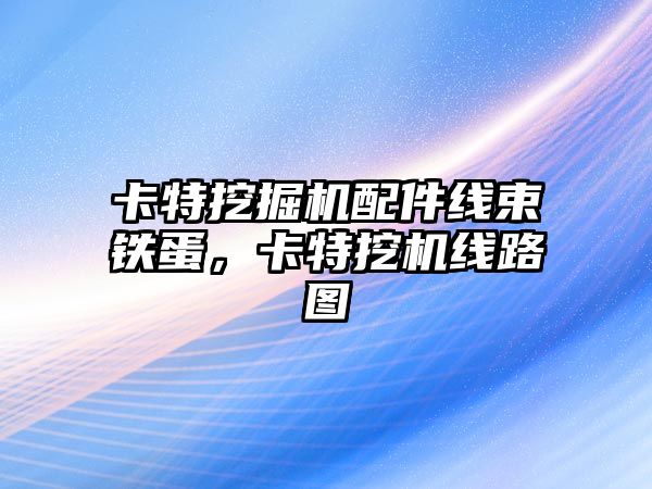 卡特挖掘機配件線束鐵蛋，卡特挖機線路圖