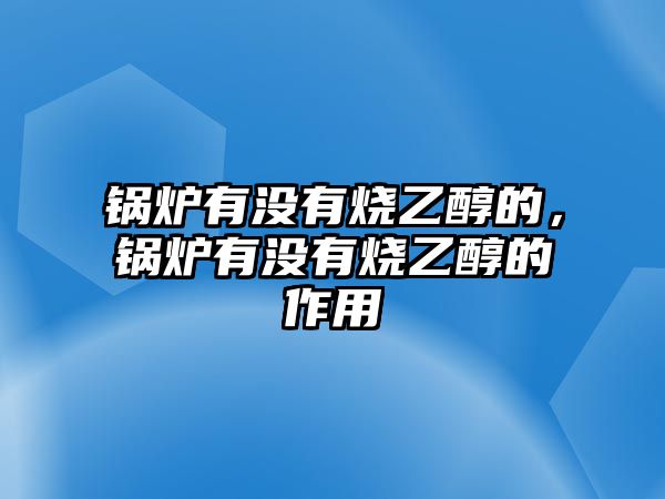 鍋爐有沒有燒乙醇的，鍋爐有沒有燒乙醇的作用