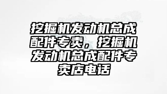 挖掘機(jī)發(fā)動(dòng)機(jī)總成配件專賣，挖掘機(jī)發(fā)動(dòng)機(jī)總成配件專賣店電話