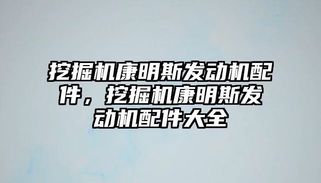 挖掘機康明斯發(fā)動機配件，挖掘機康明斯發(fā)動機配件大全