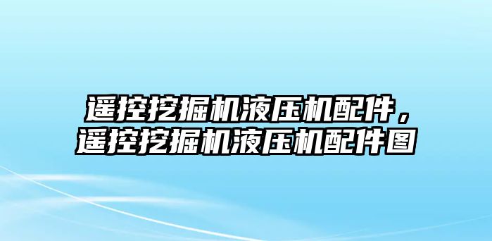 遙控挖掘機液壓機配件，遙控挖掘機液壓機配件圖