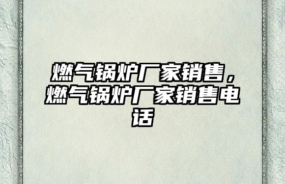 燃?xì)忮仩t廠家銷(xiāo)售，燃?xì)忮仩t廠家銷(xiāo)售電話