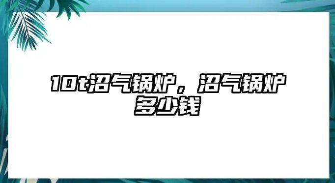 10t沼氣鍋爐，沼氣鍋爐多少錢