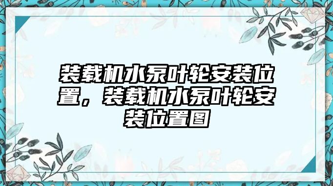 裝載機(jī)水泵葉輪安裝位置，裝載機(jī)水泵葉輪安裝位置圖