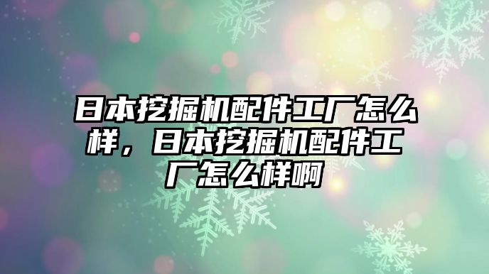 日本挖掘機配件工廠怎么樣，日本挖掘機配件工廠怎么樣啊