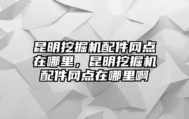 昆明挖掘機配件網(wǎng)點在哪里，昆明挖掘機配件網(wǎng)點在哪里啊