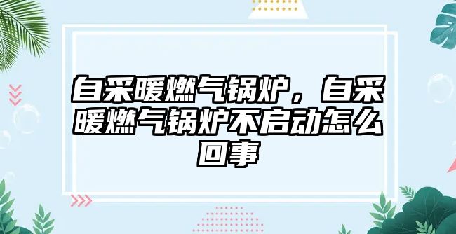 自采暖燃氣鍋爐，自采暖燃氣鍋爐不啟動怎么回事