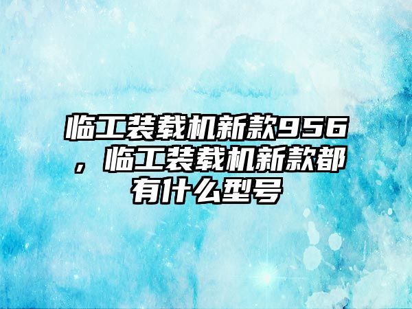 臨工裝載機新款956，臨工裝載機新款都有什么型號