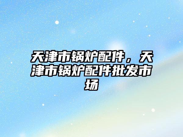 天津市鍋爐配件，天津市鍋爐配件批發(fā)市場