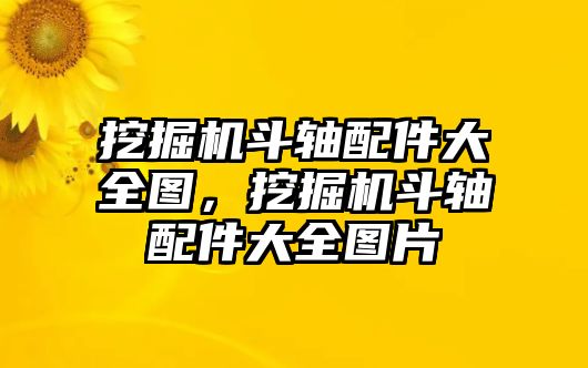 挖掘機(jī)斗軸配件大全圖，挖掘機(jī)斗軸配件大全圖片