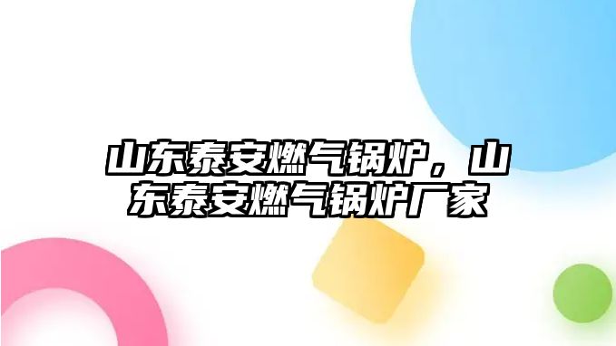 山東泰安燃氣鍋爐，山東泰安燃氣鍋爐廠家