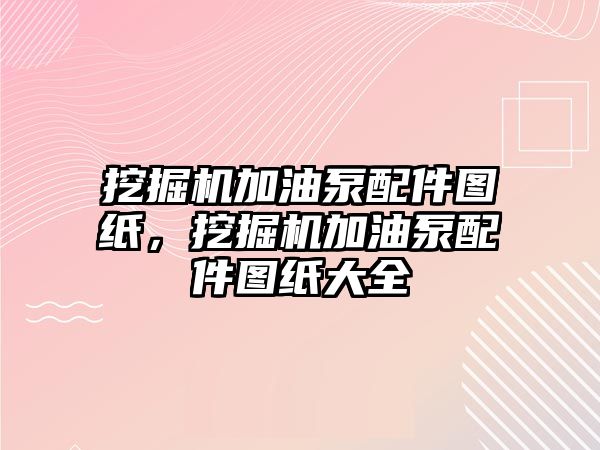 挖掘機加油泵配件圖紙，挖掘機加油泵配件圖紙大全