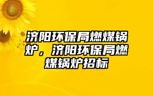 濟陽環(huán)保局燃煤鍋爐，濟陽環(huán)保局燃煤鍋爐招標